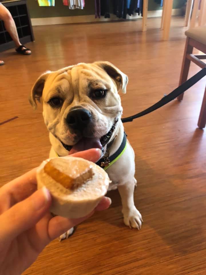 YBS Juice Lounge | restaurant | 765 Harry L Dr, Johnson City, NY 13790, USA | 6076770490 OR +1 607-677-0490