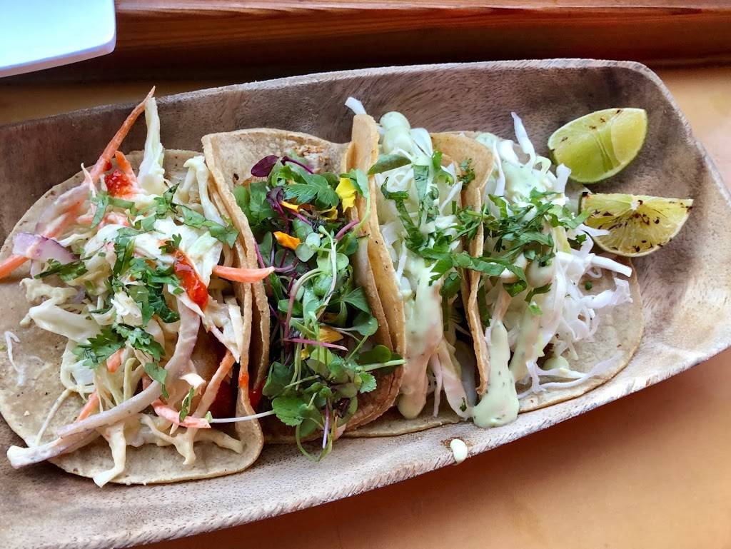 Fish Pit | restaurant | 4632 College Ave, San Diego, CA 92115, USA | 6195469369 OR +1 619-546-9369