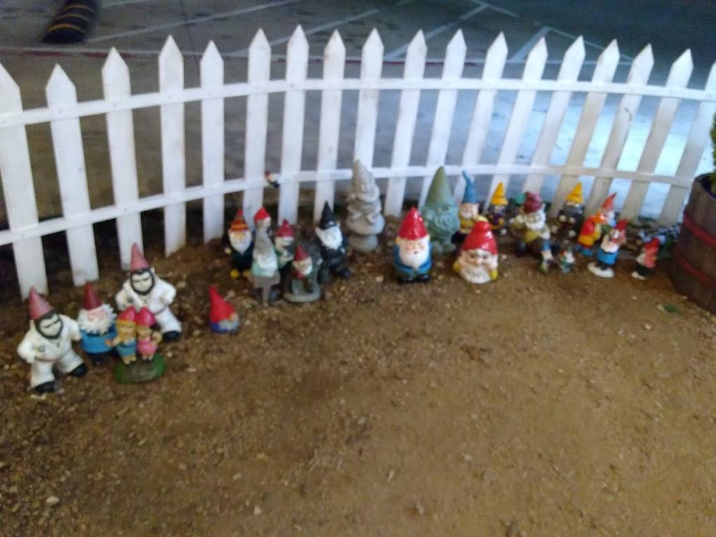 Gnome Cones | restaurant | 421 US 377 S, Argyle, TX 76226, USA | 9403209439 OR +1 940-320-9439