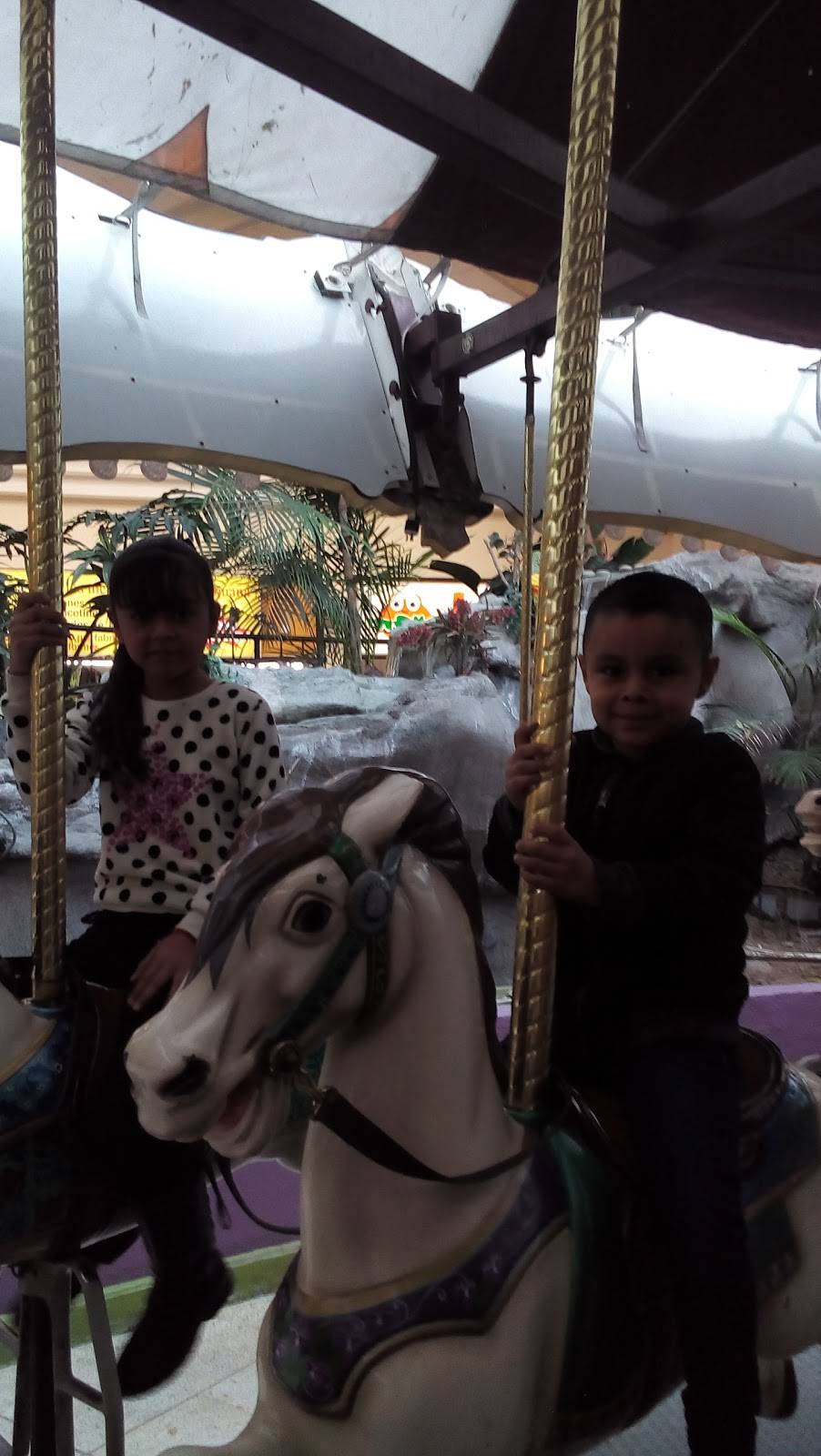 Pollos Mi Ranchito | restaurant | 2, Av de los Insurgentes 33, Libramiento, 22225 Tijuana, B.C., Mexico | 016645964886 OR +52 664 596 4886