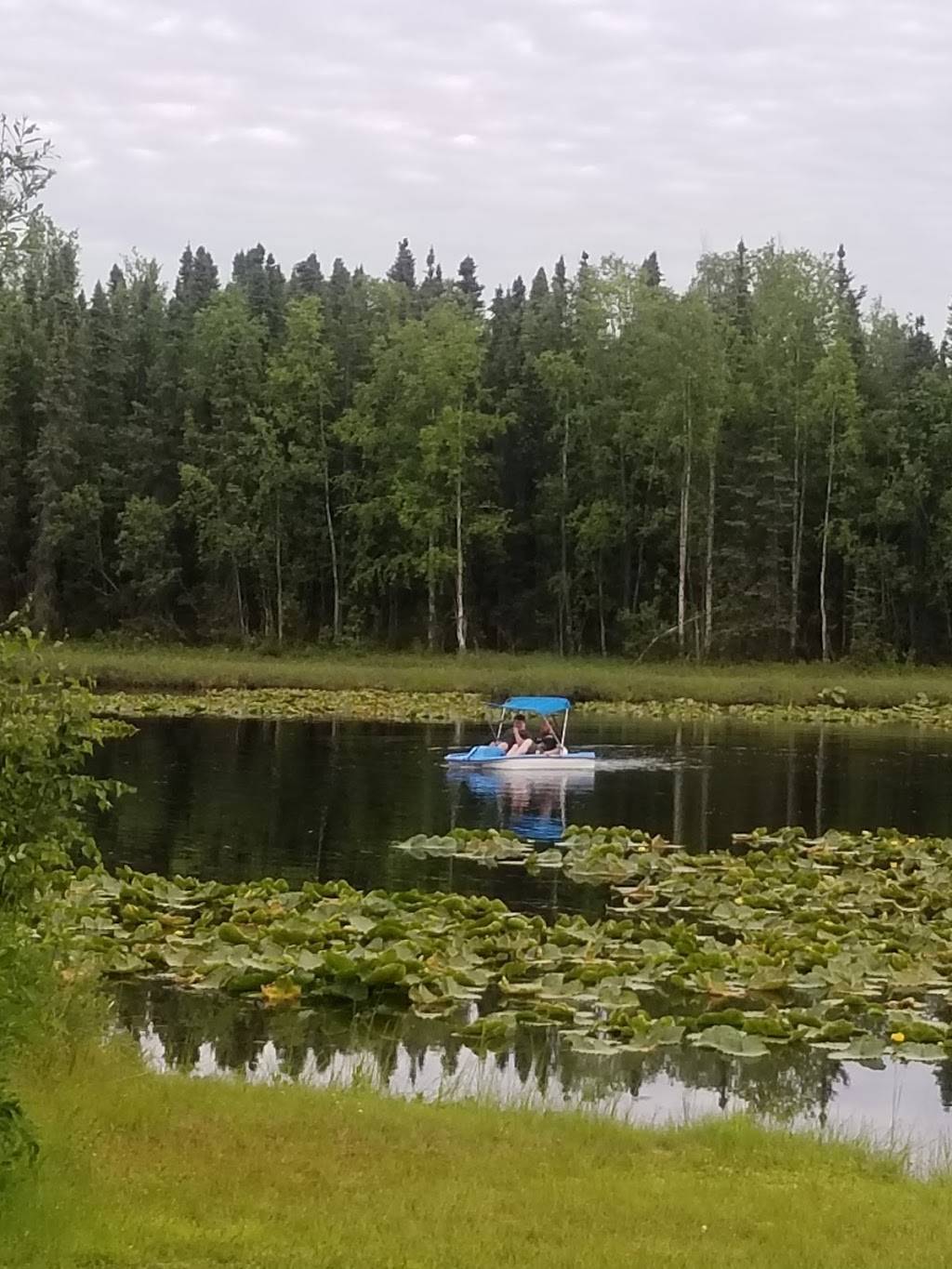 Triple J Roadhouse | restaurant | 16966 W Parks Hwy, Houston, AK 99694, USA | 9078923663 OR +1 907-892-3663