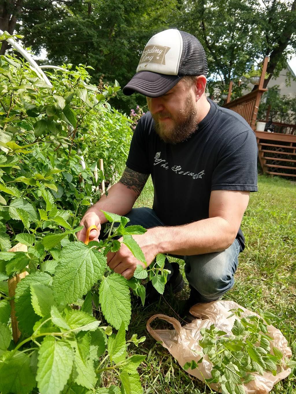 Garden Grove Brewing and Urban Winery | restaurant | 3445 W Cary St, Richmond, VA 23221, USA | 8049186158 OR +1 804-918-6158