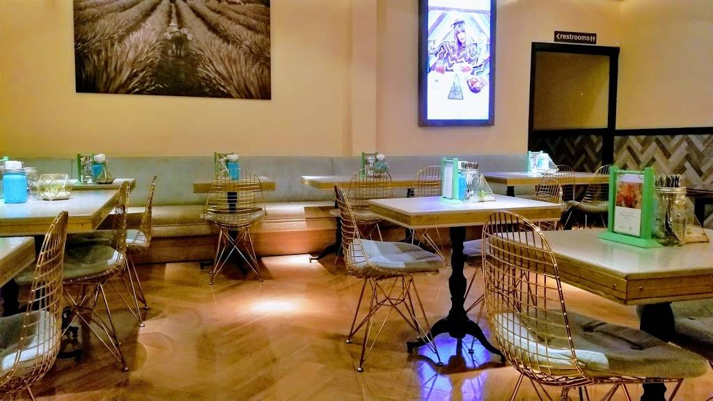 Tocaya Organica - Sunset Plaza | restaurant | 8720 Sunset Blvd, West Hollywood, CA 90069, USA | 4242884871 OR +1 424-288-4871