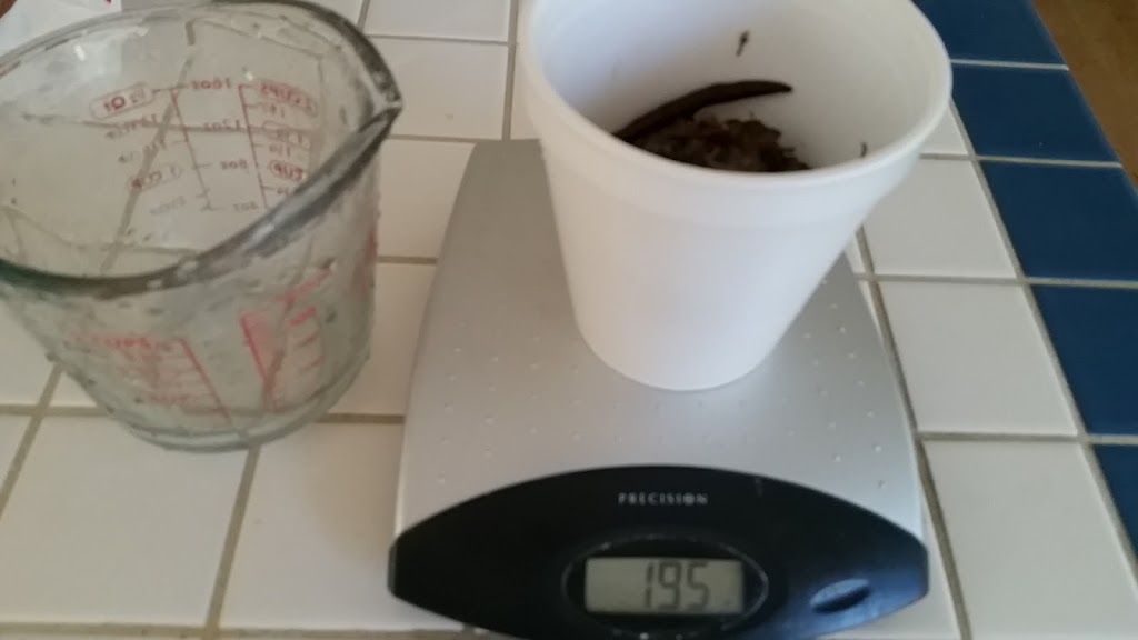 Tortilleria Zacatecas | restaurant | 119 S Frazier St, Conroe, TX 77301, USA | 9364940500 OR +1 936-494-0500