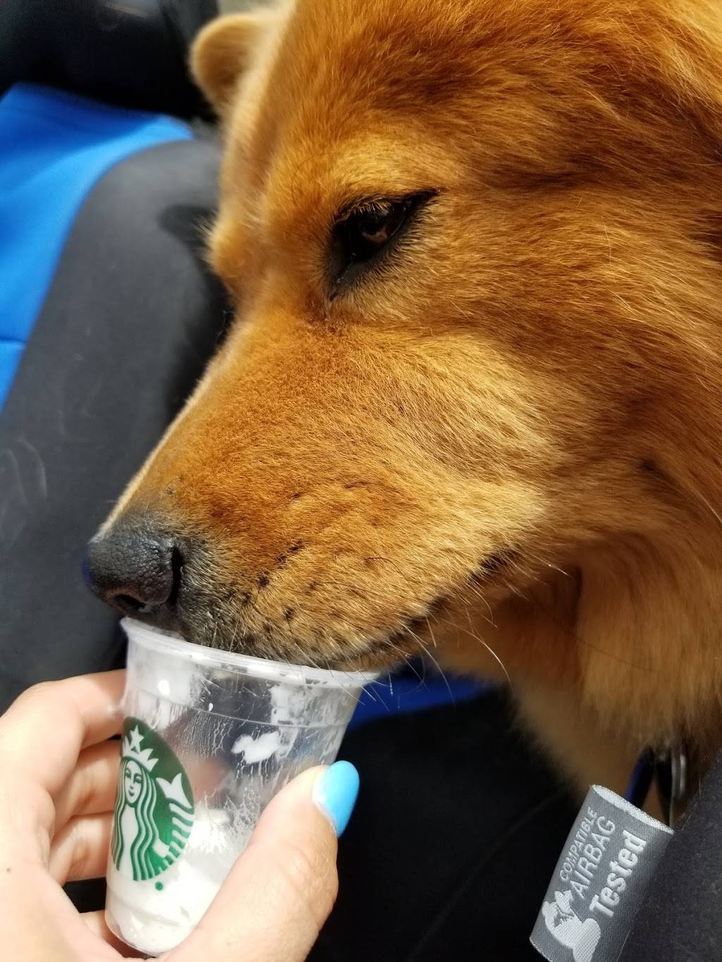 Starbucks | cafe | 704 N, MO-7, Blue Springs, MO 64014, USA | 8162246937 OR +1 816-224-6937