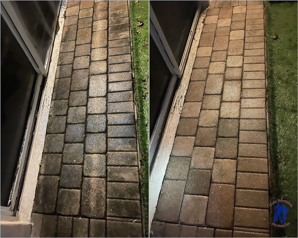 Total Excellence Services, Inc. | restaurant | 6625 Miami Lakes Dr, Miami Lakes, FL 33014, USA | 7862861851 OR +1 786-286-1851