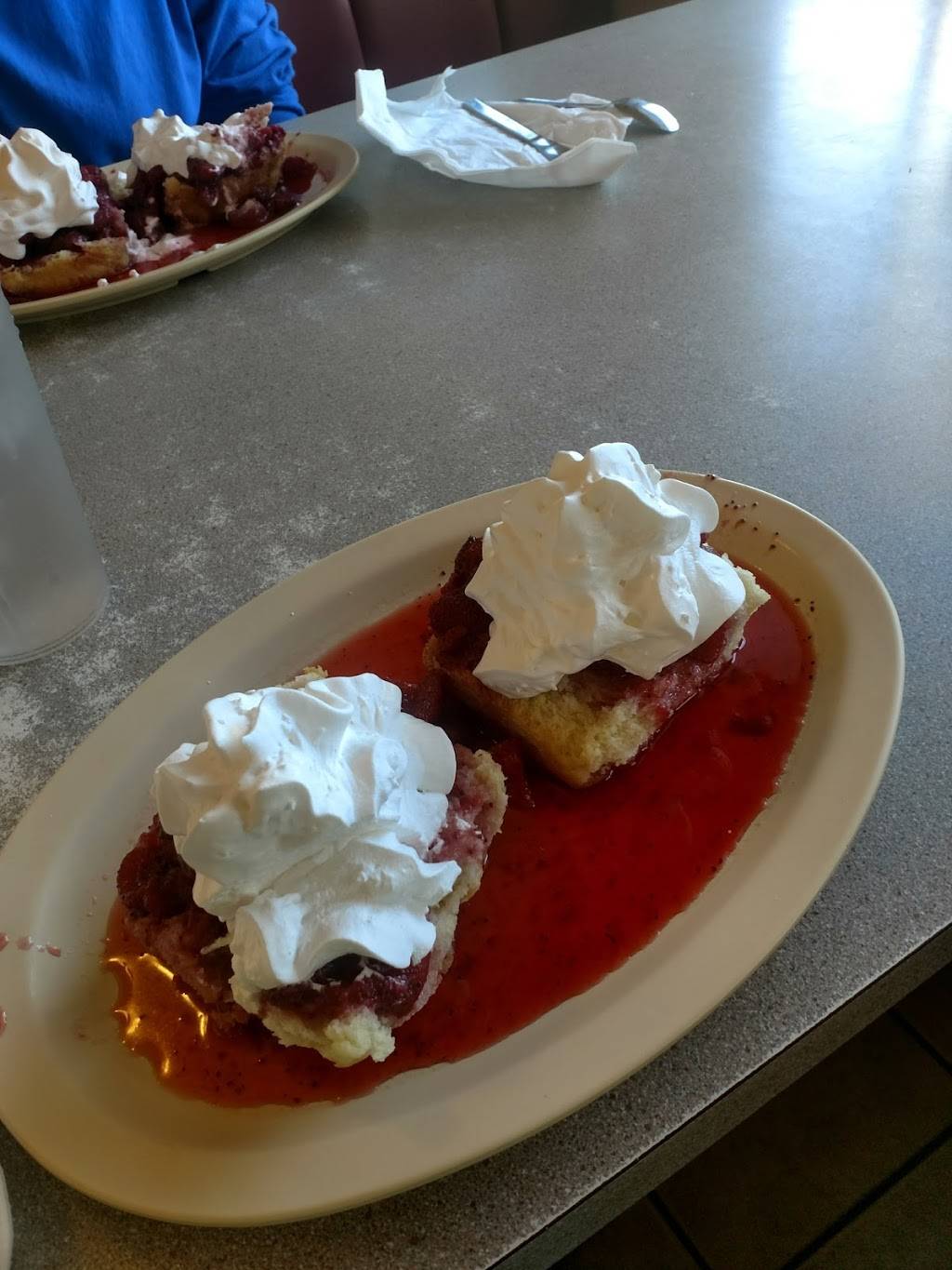 Aunt Fannies Restaurant | restaurant | 6147 SE Abshier Blvd, Belleview, FL 34420, USA | 3522455442 OR +1 352-245-5442