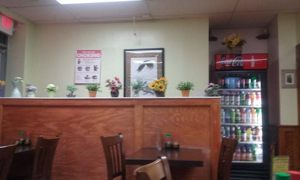 Teriyaki Express | restaurant | 139 East Sunrise Hwy, Lindenhurst, NY 11757, USA | 6318888808 OR +1 631-888-8808