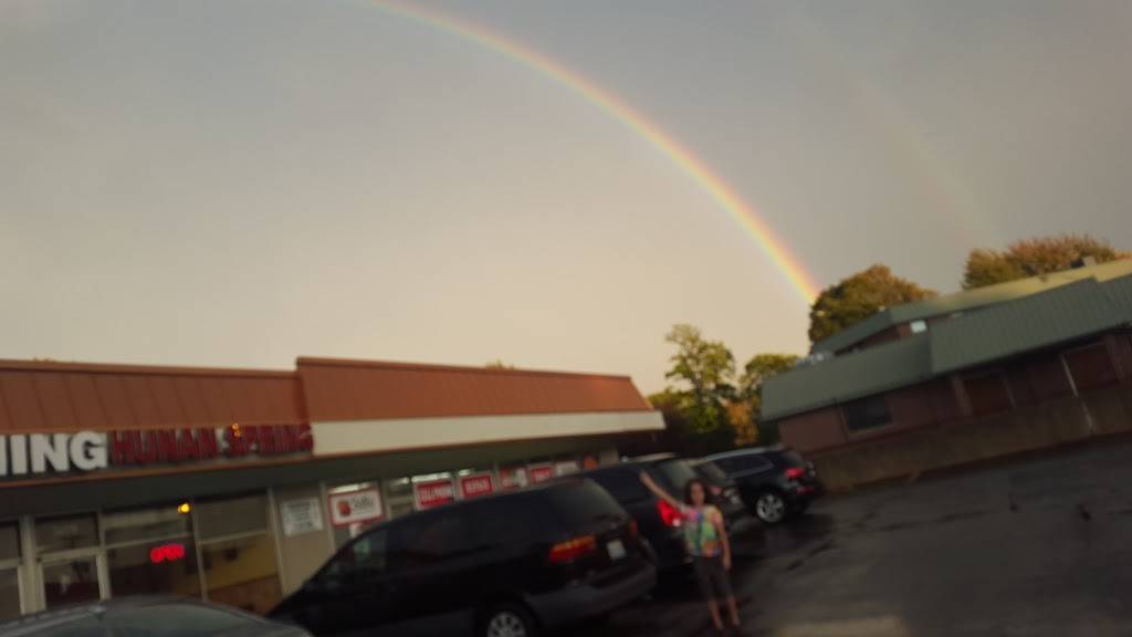 Hunan Spring Restaurant | restaurant | 5279 N Elston Ave, Chicago, IL 60630, USA | 7732028889 OR +1 773-202-8889