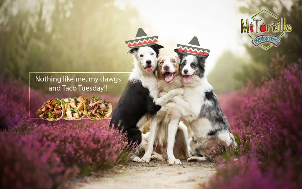 Mi Tortilla Mexican Grill | restaurant | 487 Magnolia Ave, Corona, CA 92879, USA | 9512798766 OR +1 951-279-8766