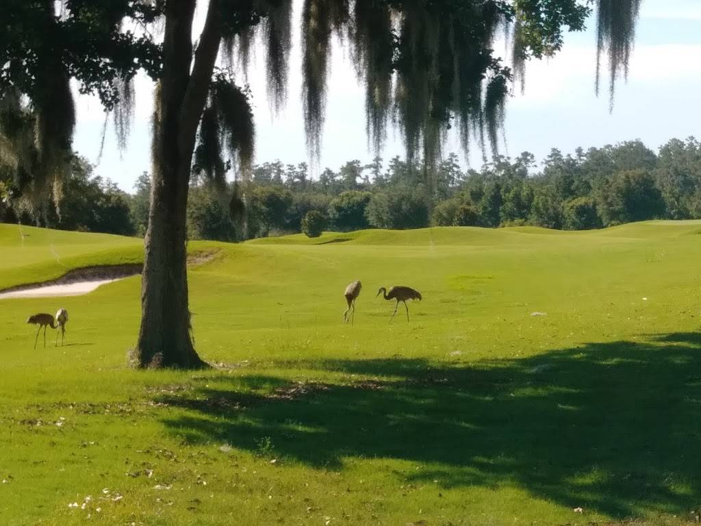 Southern Hills Plantation Club | restaurant | 4200 Summit View Dr, Brooksville, FL 34601, USA | 3522775000 OR +1 352-277-5000