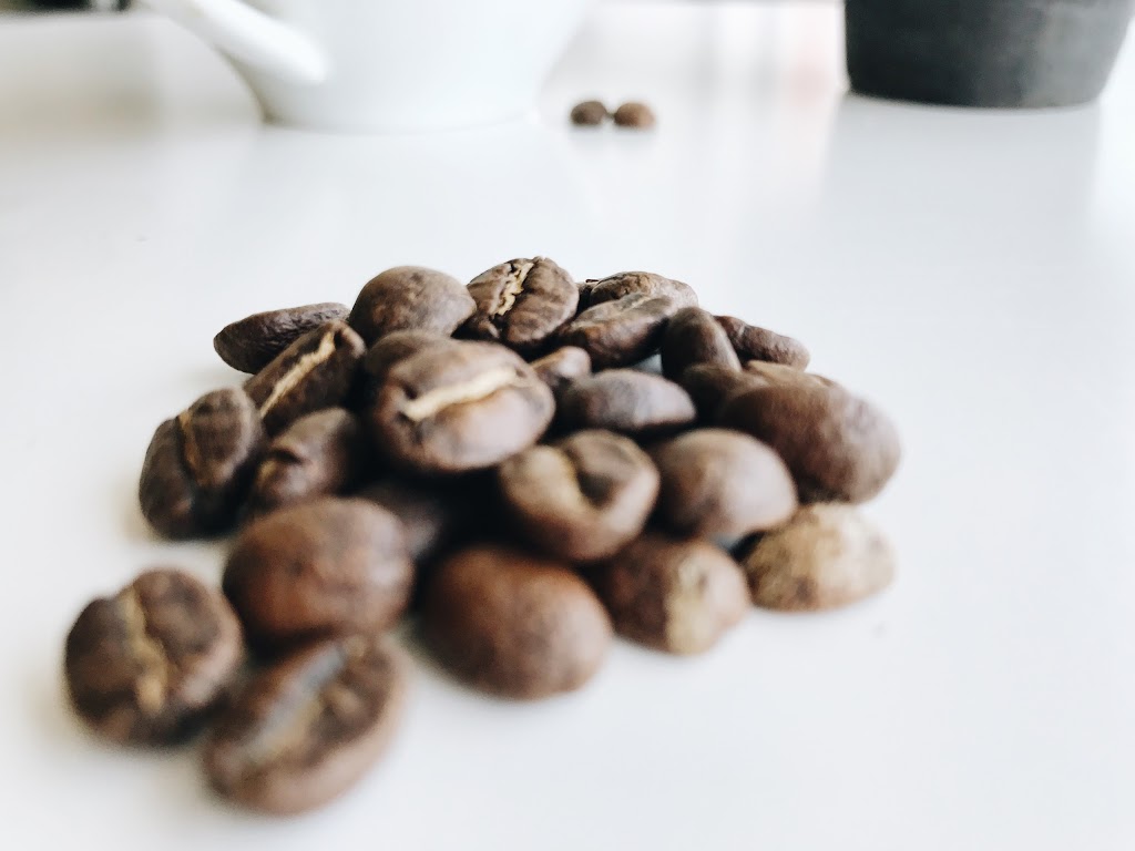 The Blind Tiger Cafe - Seminole Heights - Coffee Shop | cafe | 4304 N Florida Ave, Tampa, FL 33604, USA | 8135402233 OR +1 813-540-2233