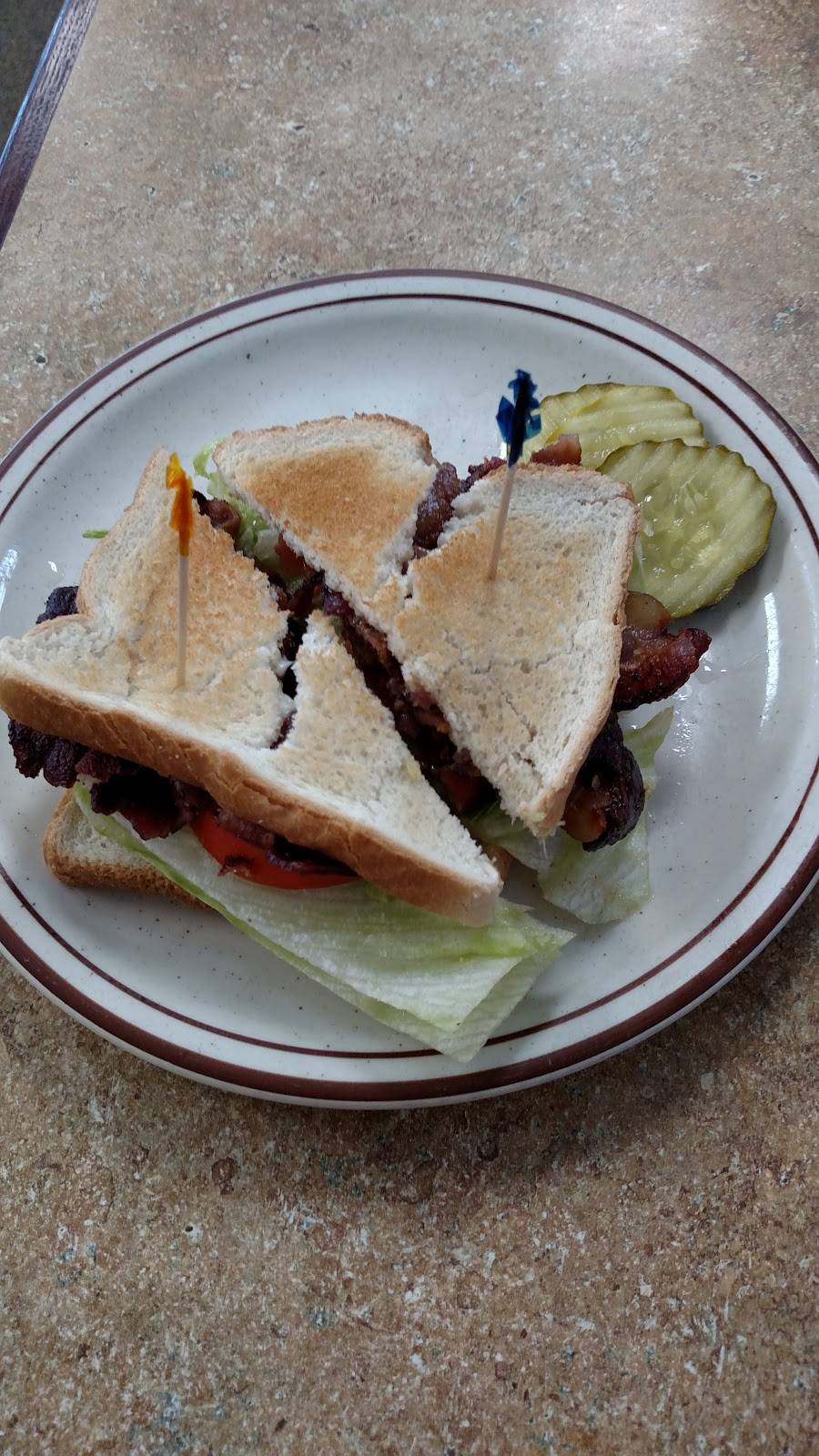 Red Star Diner | restaurant | 7327 Lewis Ave, Temperance, MI 48182, USA | 7342247101 OR +1 734-224-7101