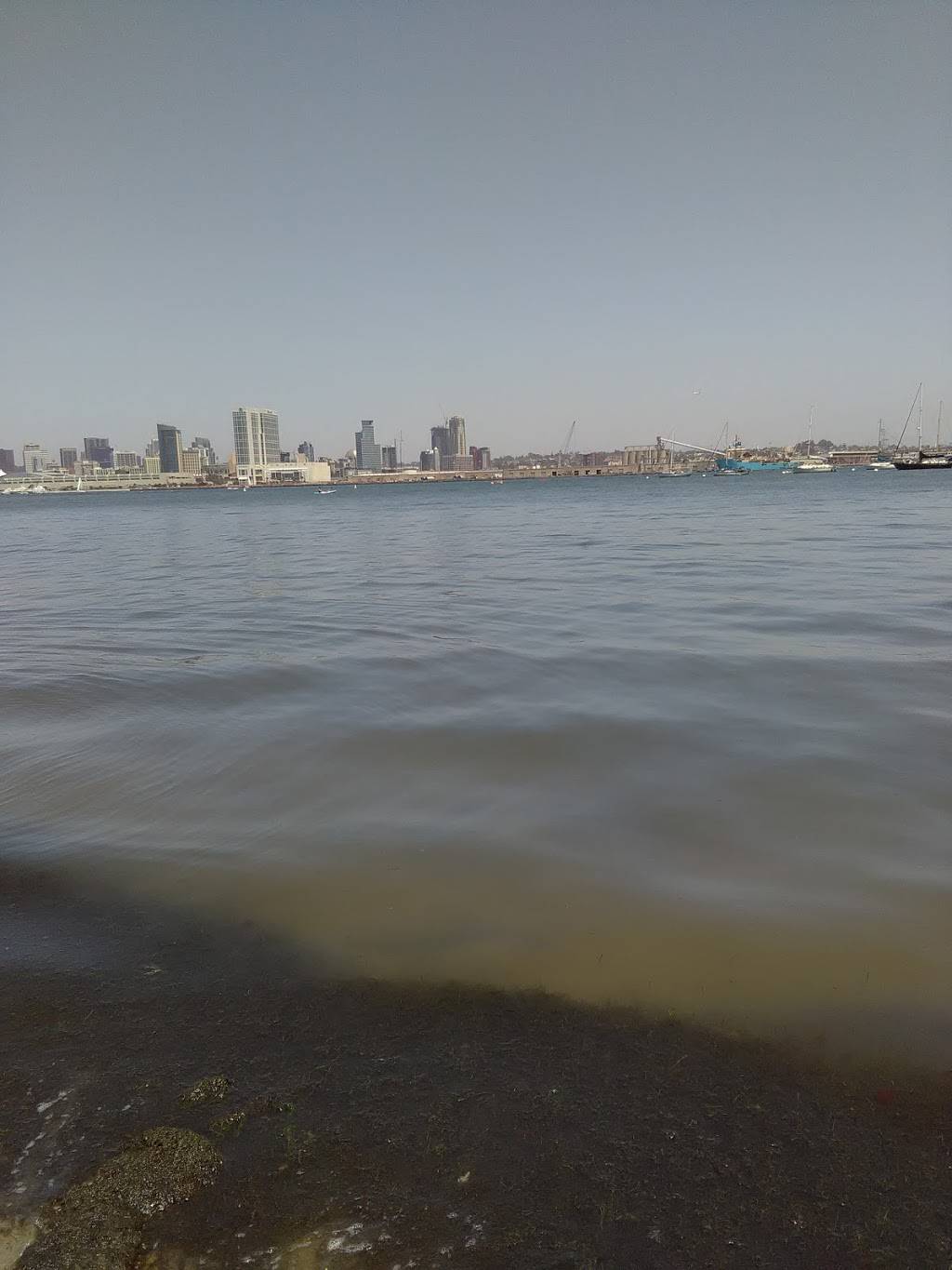 La Jolla Shrk | restaurant | 1900 Kearney Ave, San Diego, CA 92113, USA | 6195872527 OR +1 619-587-2527