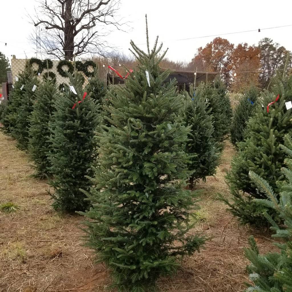 Loncheraa | restaurant | 1958, 1998 Providence Rd S, Waxhaw, NC 28173, USA | 7043035127 OR +1 704-303-5127