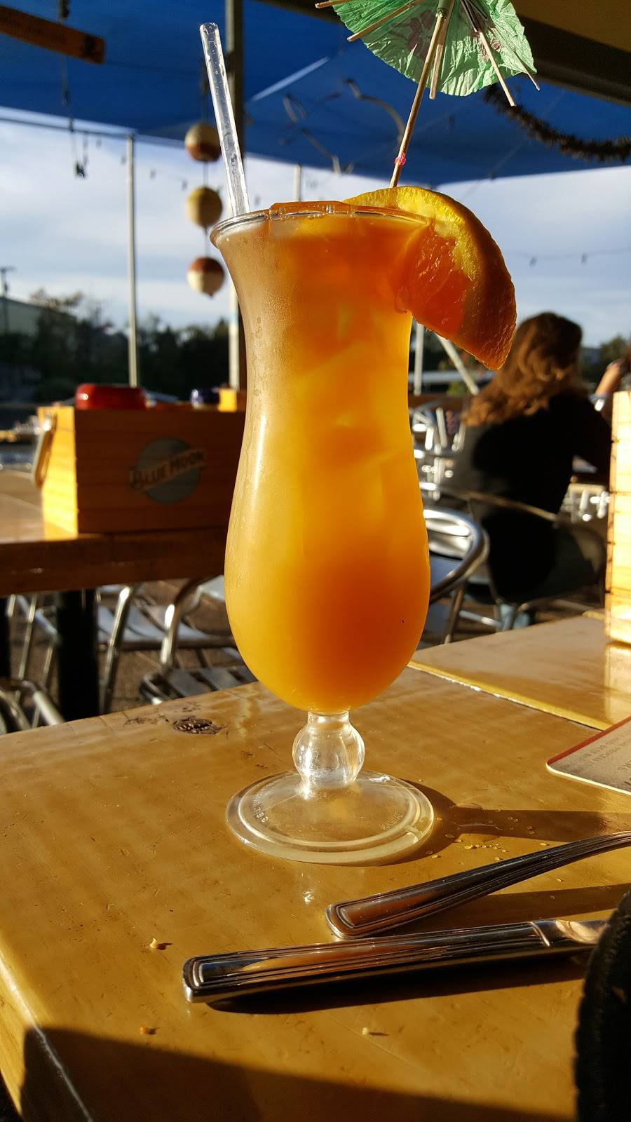 Blue Moon Waterfront Grille | restaurant | 525 Basswood Dr, Nashville, TN 37209, USA | 6153566666 OR +1 615-356-6666