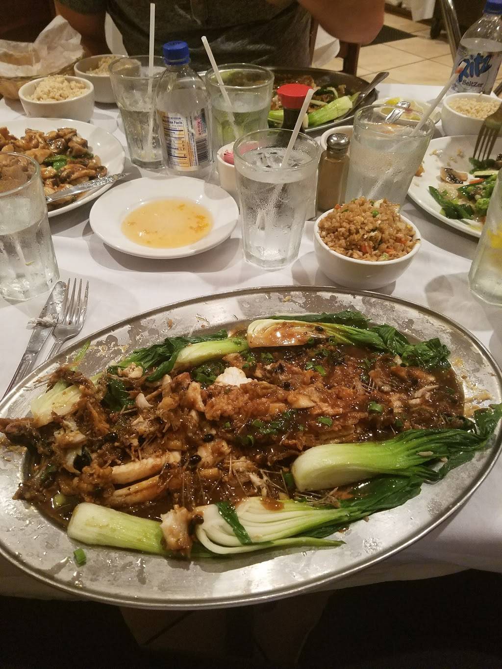 Shanghai City | restaurant | 7860 Glades Rd, Boca Raton, FL 33434, USA | 5614821291 OR +1 561-482-1291