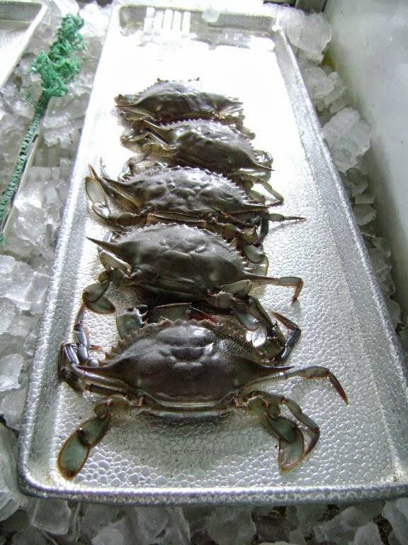 Ormond Crab House | restaurant | 801 US-1, Ormond Beach, FL 32174, USA | 3866724127 OR +1 386-672-4127