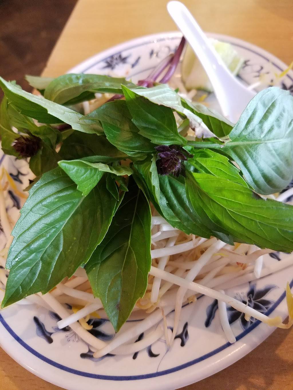 Pho 21 | restaurant | 2443 Bay Area Blvd, Houston, TX 77058, USA | 2819908099 OR +1 281-990-8099