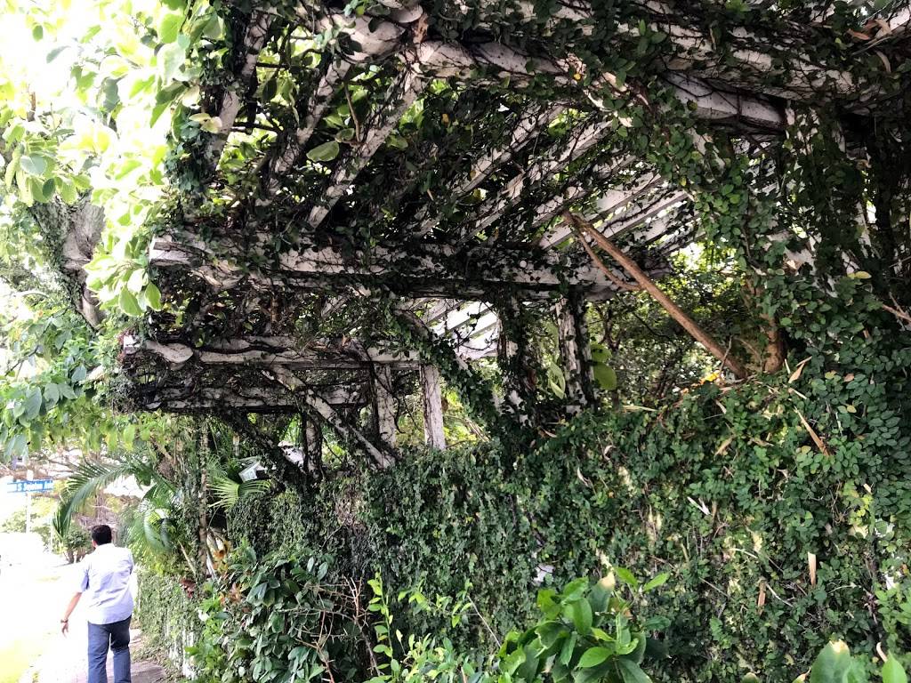 Sundy House | restaurant | 106 S Swinton Ave, Delray Beach, FL 33444, USA | 5612725678 OR +1 561-272-5678