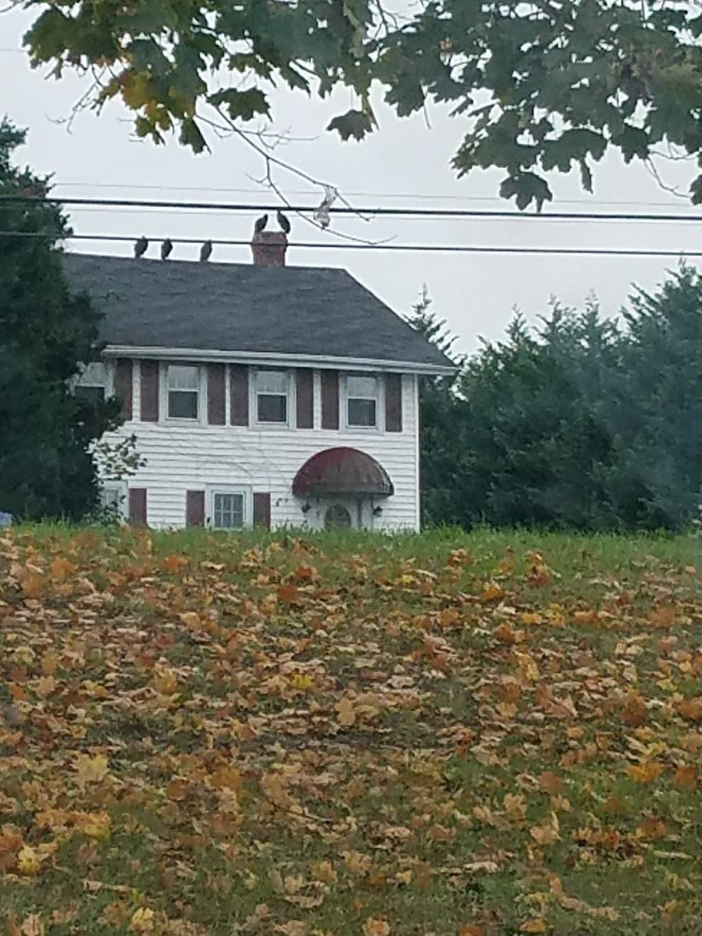 Fox Run Shopping Center | shopping mall | 615 Solomons Island Rd N, Prince Frederick, MD 20678, USA | 6108347287 OR +1 610-834-7287