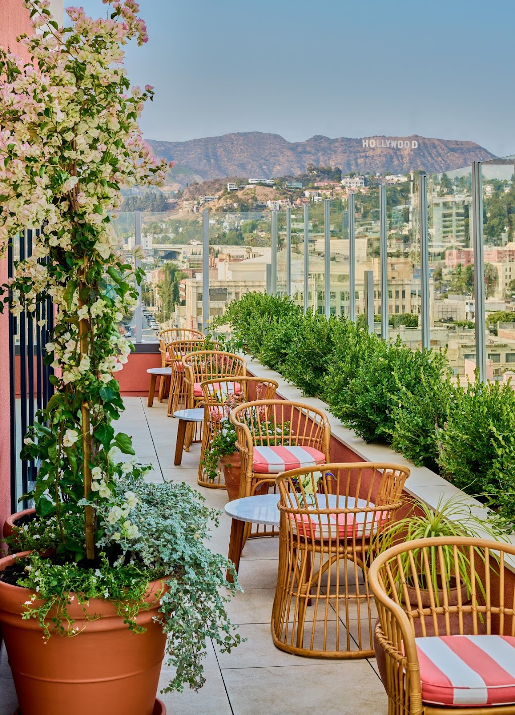 Bar Lis | night club | 1541 Wilcox Ave, Los Angeles, CA 90028, USA | 3234106210 OR +1 323-410-6210