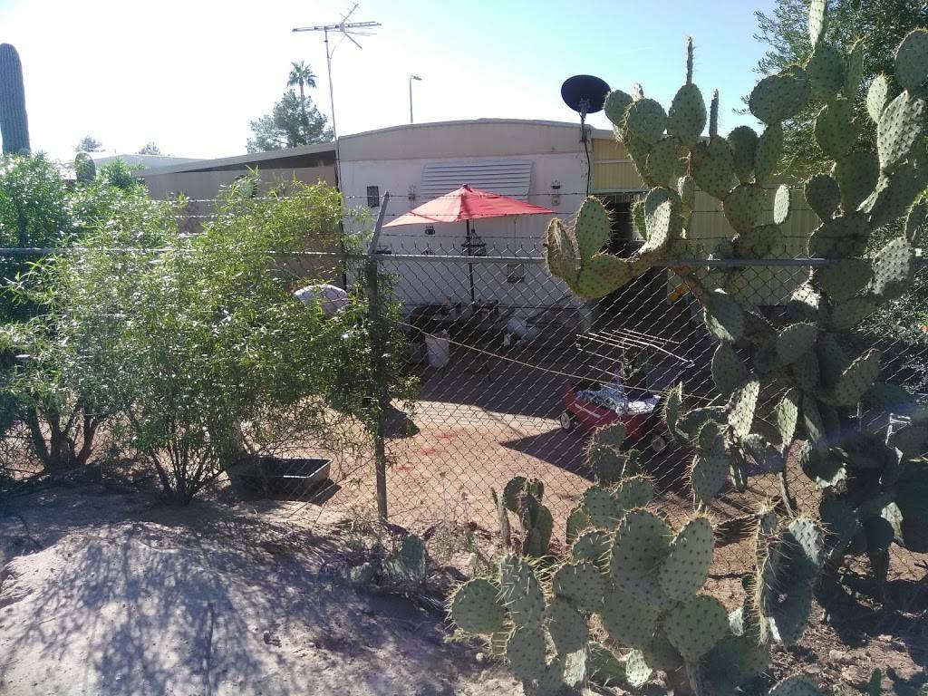 Apache Greyhound Park | restaurant | 220 S Delaware Dr, Apache Junction, AZ 85120, USA | 4809822371 OR +1 480-982-2371