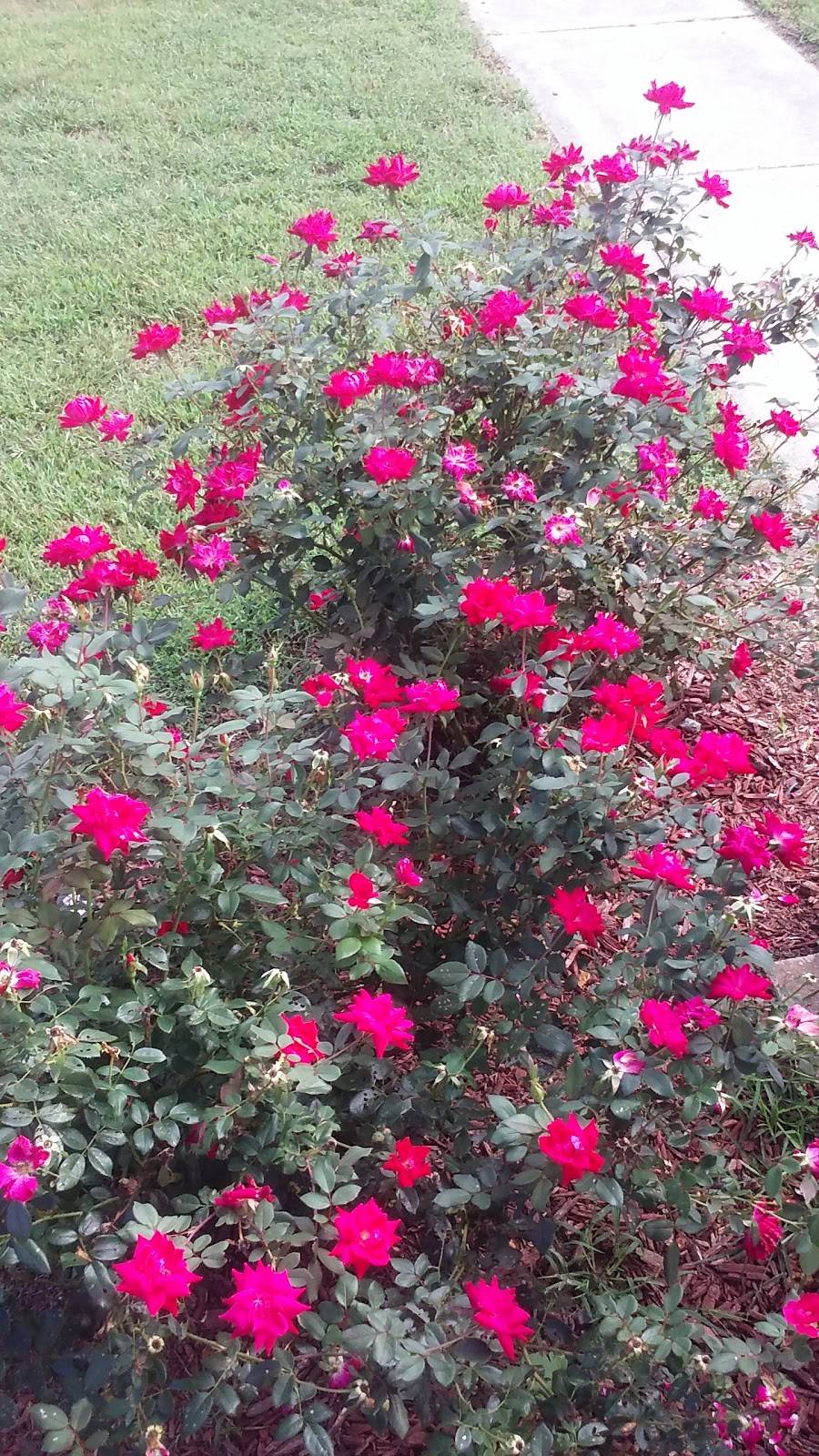 U5 Foods | restaurant | 3850 Smithville Rd, Federalsburg, MD 21632, USA | 4107548294 OR +1 410-754-8294