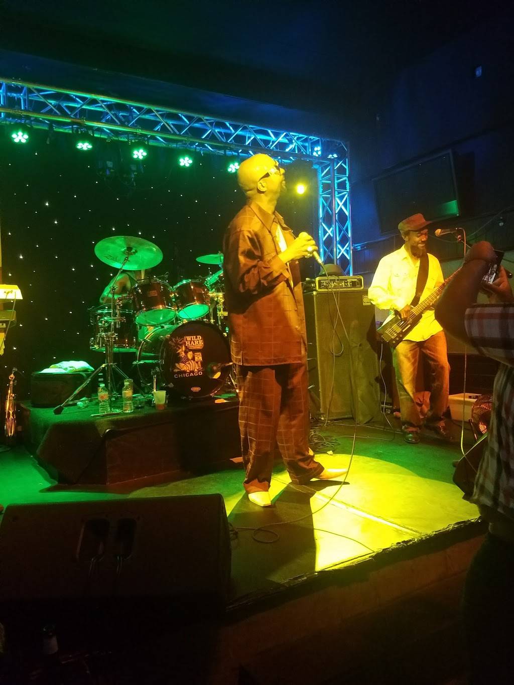 The Wild Hare & Singing Armadillo Frog Sanctuary | restaurant | 2610 N Halsted St, Chicago, IL 60614, USA | 7737703511 OR +1 773-770-3511