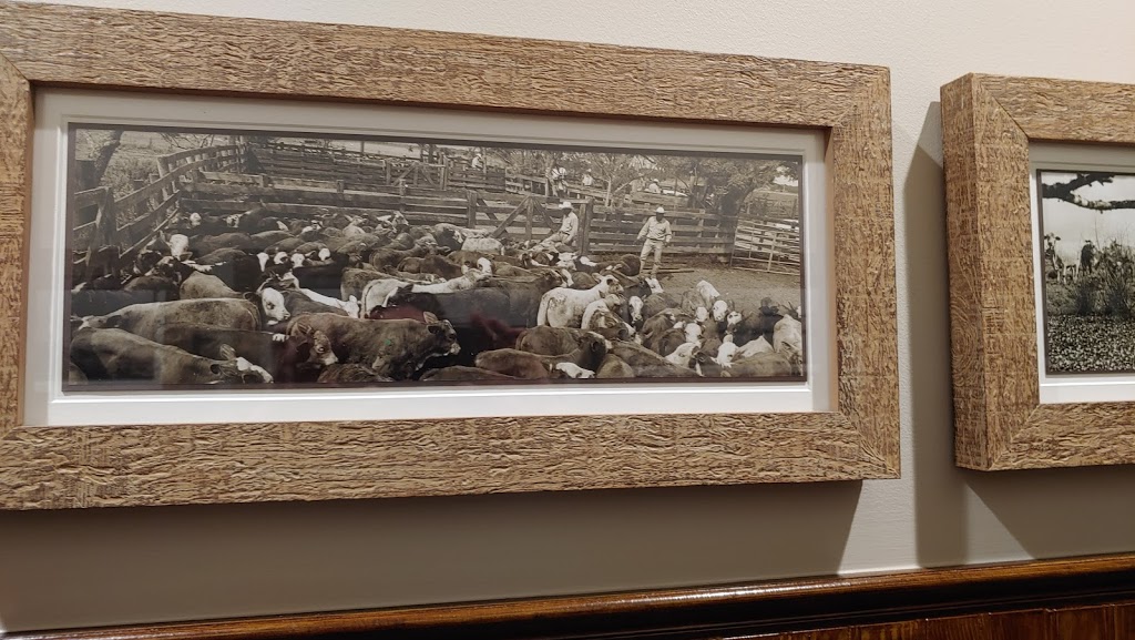 Cowboy Surfer | restaurant | 827 Frostwood Dr, Houston, TX 77024, USA | 8325380851 OR +1 832-538-0851