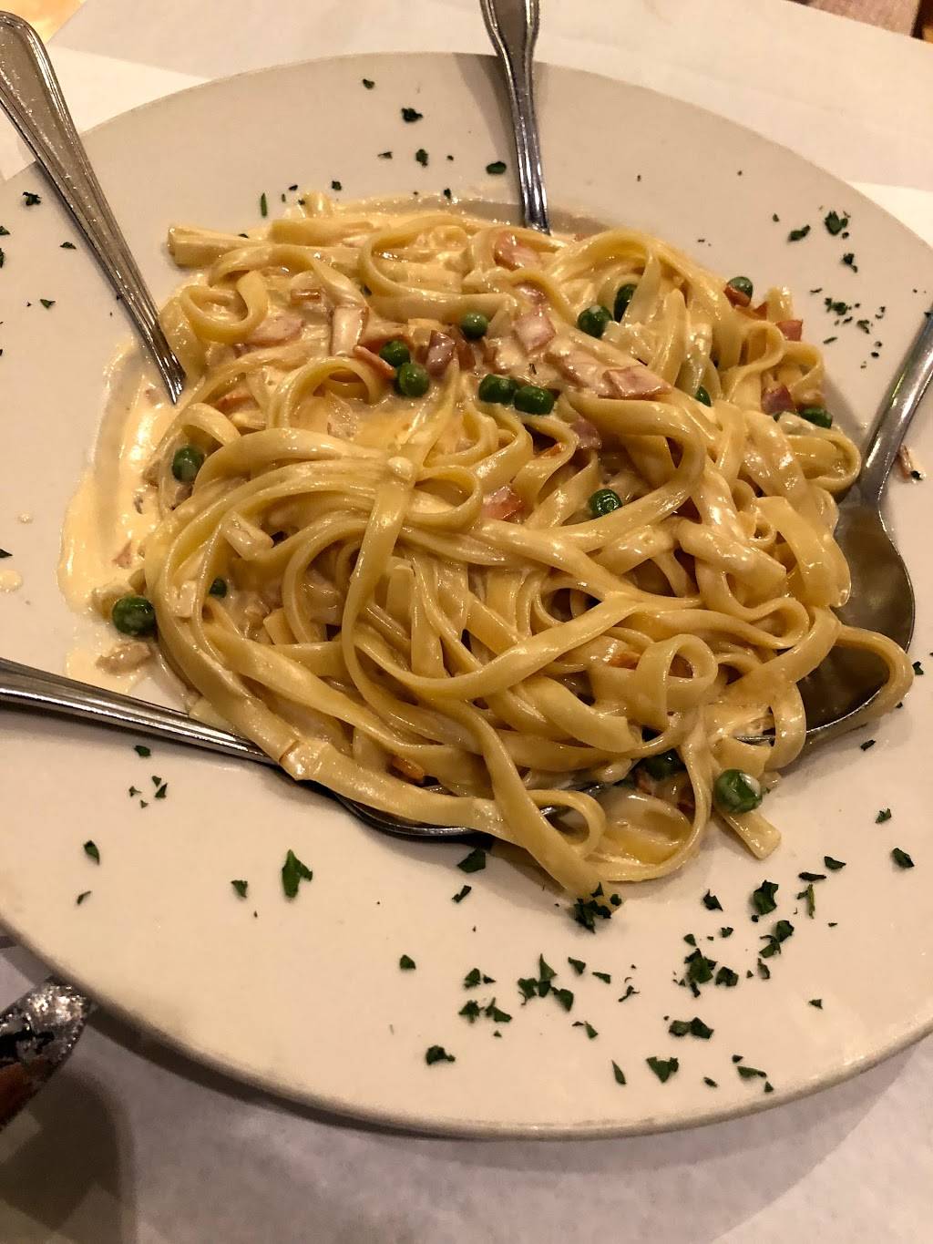 Papa Ciros | restaurant | 1624 Marcus Ave, New Hyde Park, NY 11040, USA | 5163544051 OR +1 516-354-4051