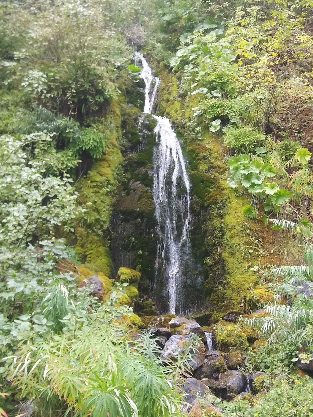 Sierra Pines Resort | restaurant | 104 Main St, Sierra City, CA 96125, USA | 5308621151 OR +1 530-862-1151