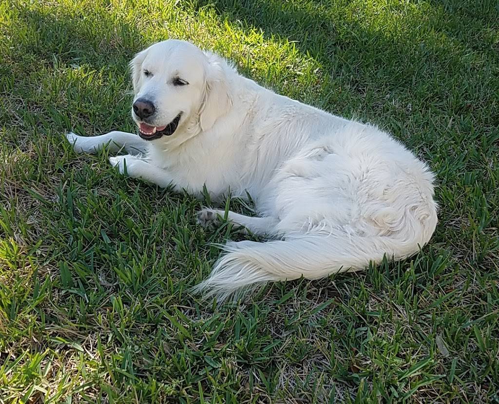 Einstein Bros. Bagels | bakery | 1226 US-1, Vero Beach, FL 32960, USA | 7722576039 OR +1 772-257-6039