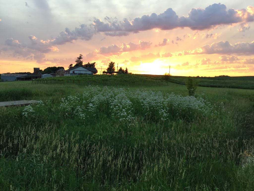 The Muse on Cedar Creek | restaurant | 395 N Cedarville Rd, Freeport, IL 61032, USA | 7799946873 OR +1 779-994-6873