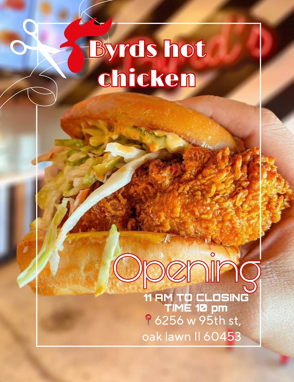 Byrds Hot Chicken Oak Lawn | restaurant | 6256 W 95th St, Oak Lawn, IL 60453, USA | 9789541854 OR +1 978-954-1854