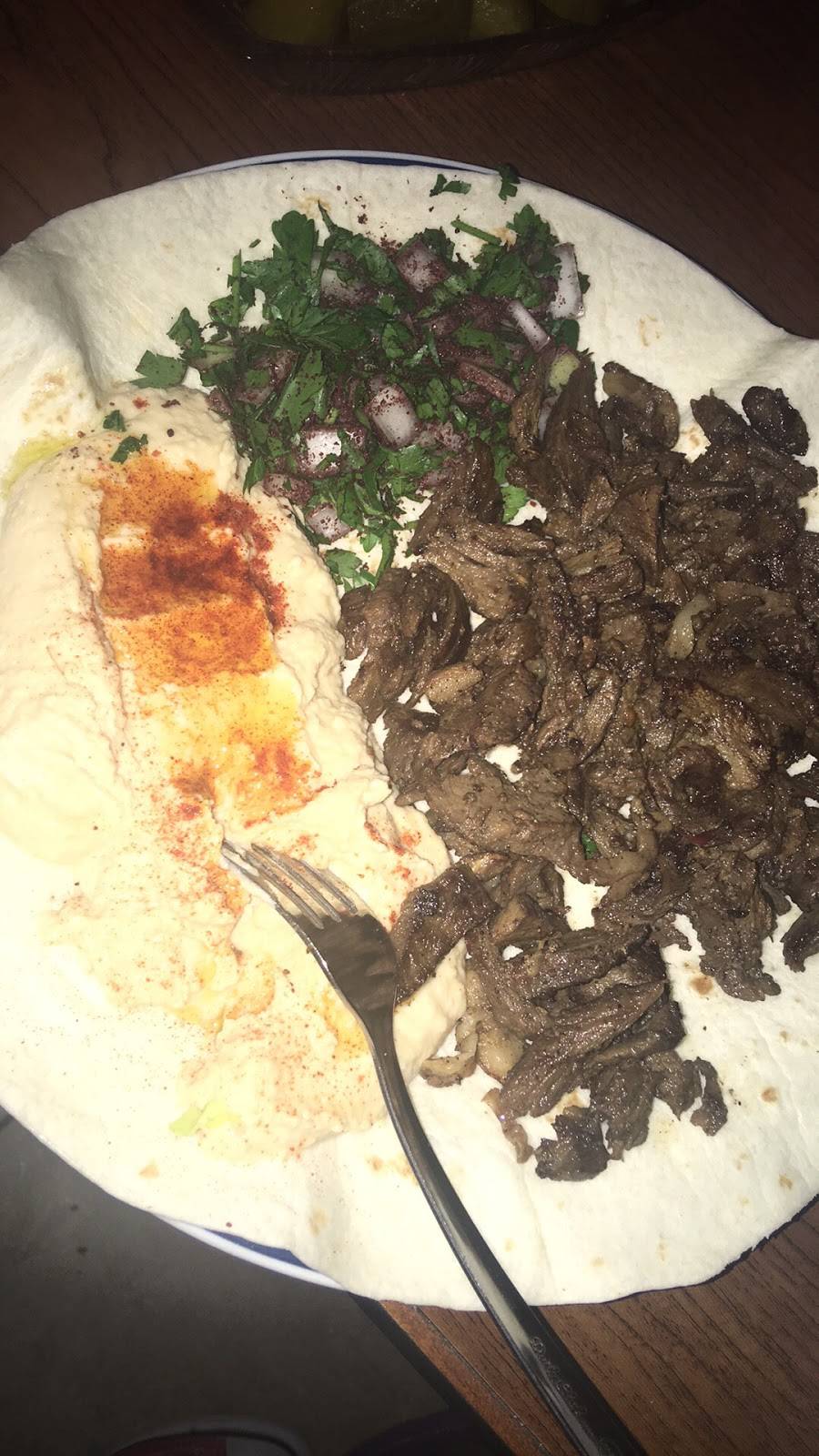 Syriana Hookah Lounge | restaurant | 14254 Bustleton Ave, Philadelphia, PA 19116, USA | 2155520045 OR +1 215-552-0045