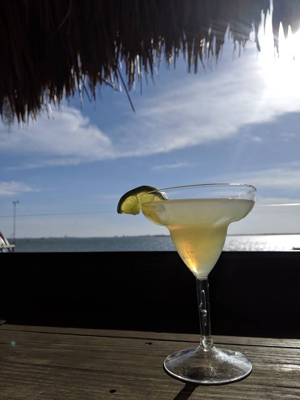 Hi & Dry Grill | restaurant | 61 Causeway Blvd, Dunedin, FL 34698, USA | 7275104445 OR +1 727-510-4445