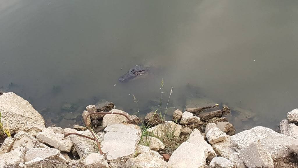 Frenier Landing | restaurant | 113 Dottie Ln, Laplace, LA 70068, USA | 9852242178 OR +1 985-224-2178