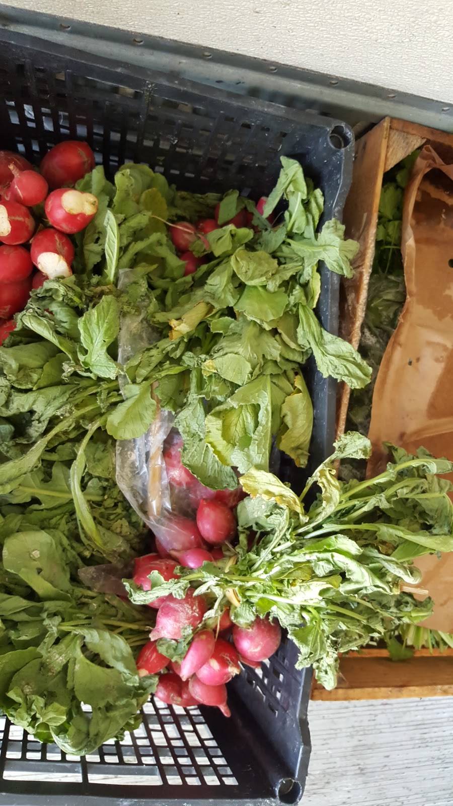 El Toro | restaurant | 5360 Hendersonville Rd, Fletcher, NC 28732, USA | 8286873999 OR +1 828-687-3999