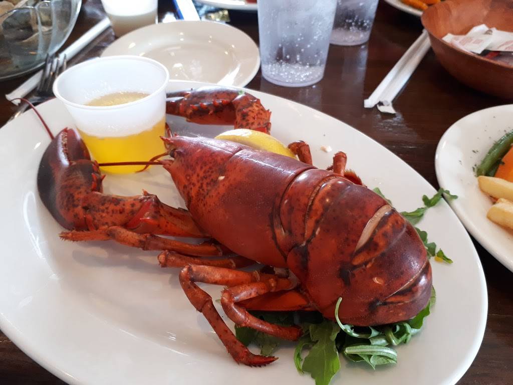 Fishermens Dock | restaurant | 674 US-1, York, ME 03909, USA | 2073518100 OR +1 207-351-8100