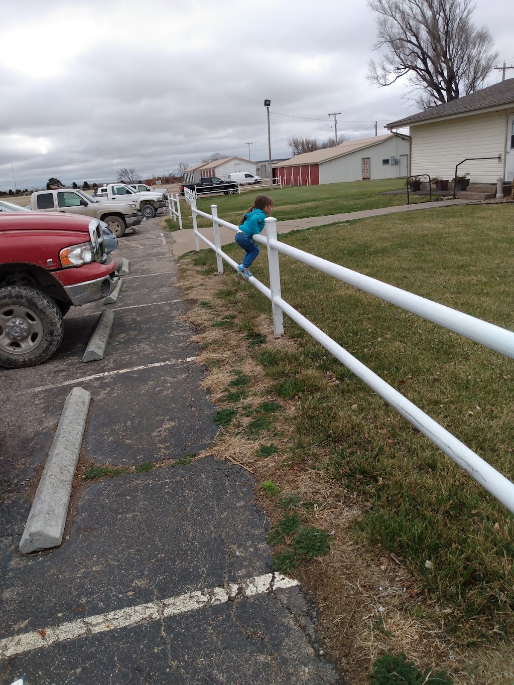 Ellis Golf Club | restaurant | 1301 Spruce St, Ellis, KS 67637, USA | 7857264711 OR +1 785-726-4711