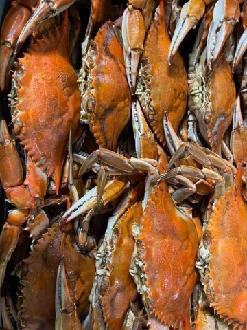 Crawfish & Geaux | restaurant | 516 S Lewis St, New Iberia, LA 70560, USA | 3373804460 OR +1 337-380-4460