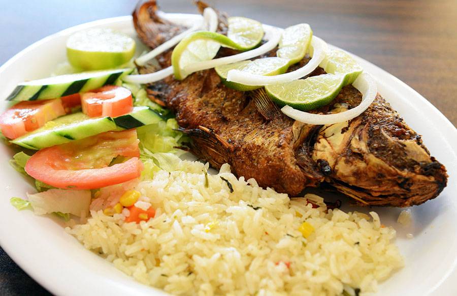 Zipotes | restaurant | 828 Fifth Ave, Redwood City, CA 94063, USA | 6502160010 OR +1 650-216-0010