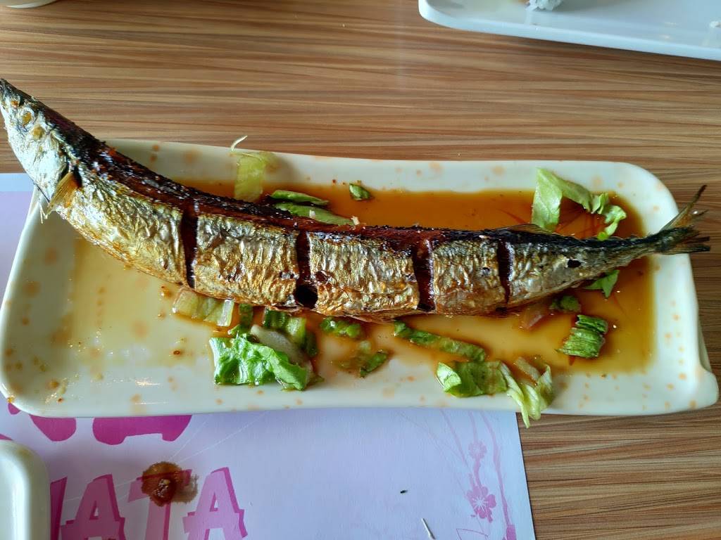 Hanata Sushi House | meal delivery | 900 Oxford St E, London, ON N5Y 5A1, Canada | 5196591599 OR +1 519-659-1599