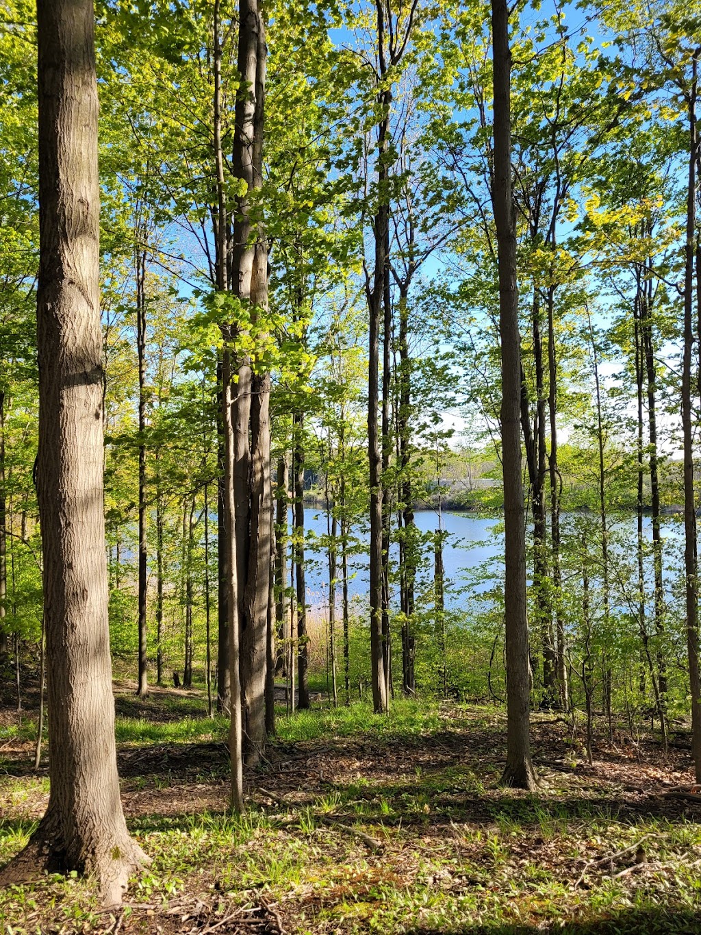 East Aurora Country Club | restaurant | 300 Girdle Rd, East Aurora, NY 14052, USA | 7166526800 OR +1 716-652-6800