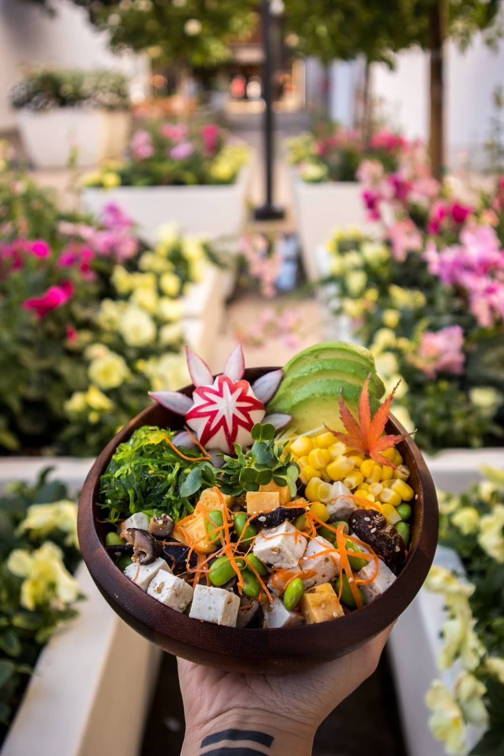 Blue Whale Poke Bar and Grill | restaurant | 70 Hillsdale Shopping Center, San Mateo, CA 94403, USA | 6504583179 OR +1 650-458-3179