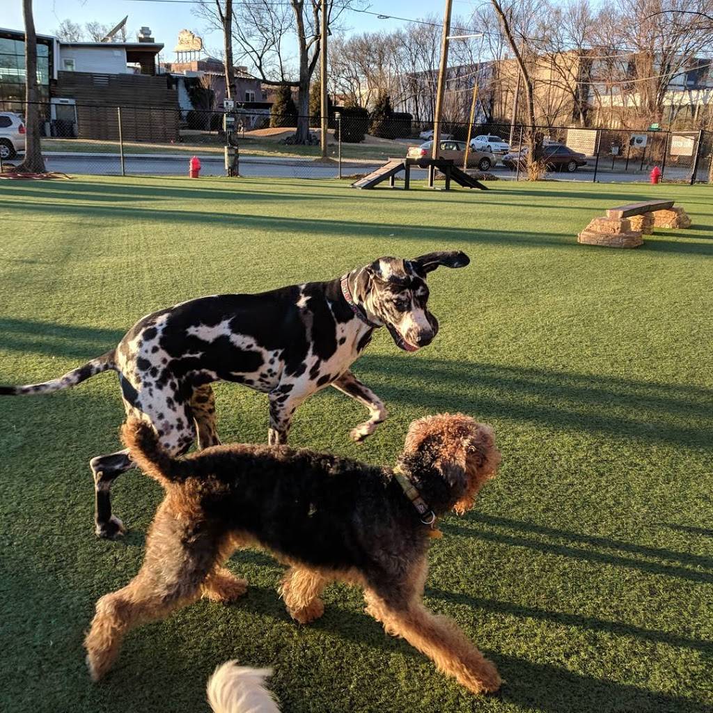 Play Wash Pint | restaurant | 113 Johnson St, Chattanooga, TN 37408, USA | 4236432275 OR +1 423-643-2275