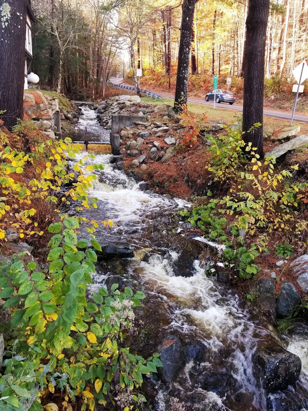 Grouse House Restaurant & Inn | restaurant | 195 Monterey Rd, Otis, MA 01253, USA | 4132694446 OR +1 413-269-4446