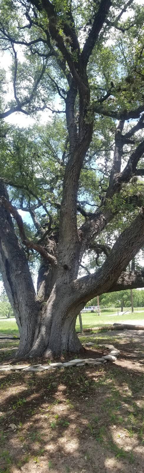 Down On Main | restaurant | 8806 FM 775, Seguin, TX 78155, USA | 8304203398 OR +1 830-420-3398