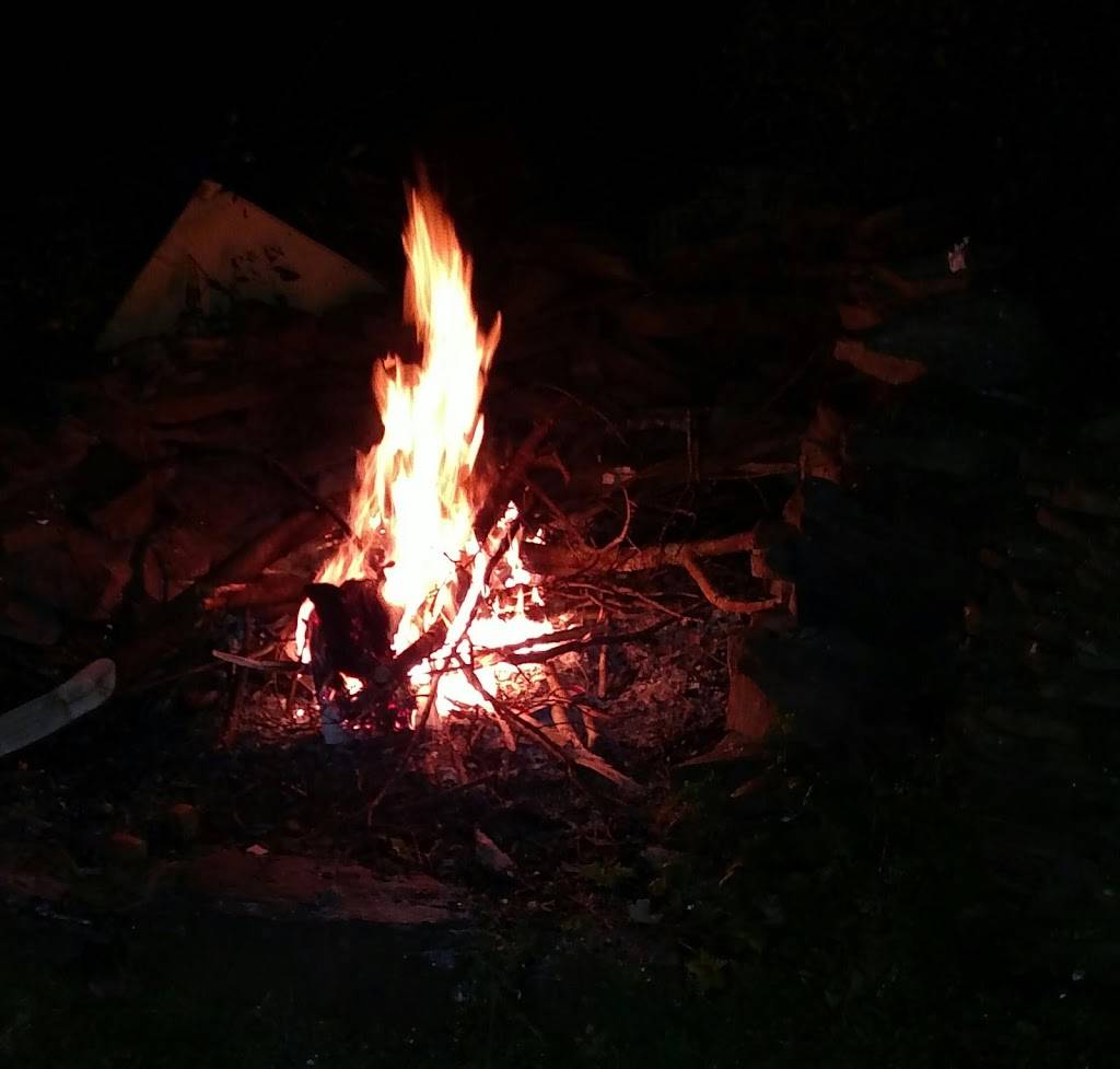 Forest Ave Grill | restaurant | 170 Forest Ave, Glen Cove, NY 11542, USA | 5162772360 OR +1 516-277-2360